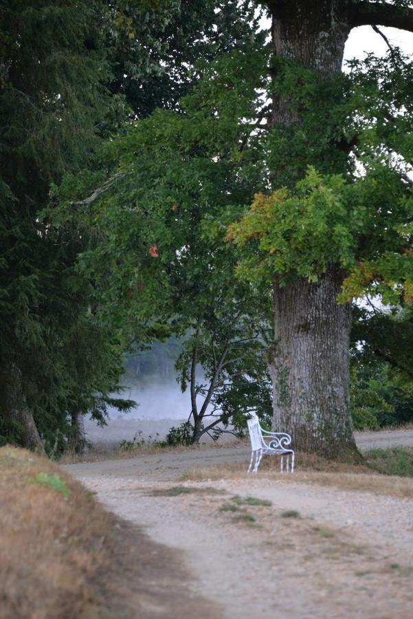 Domaine De Bort Bed & Breakfast Saint-Priest-Taurion ภายนอก รูปภาพ
